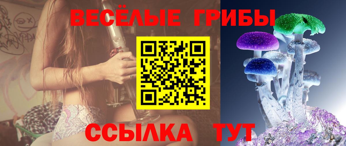 Галлюциногенные грибы мицелий  Вход с VPN  Гудермес  Псилоцибиновые грибы мухоморы 