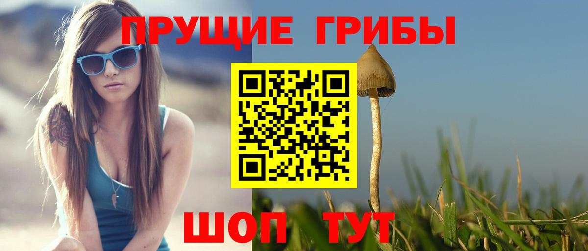 Галлюциногенные грибы мицелий Гудермес
